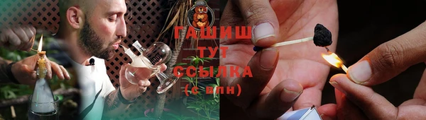 индика Касимов
