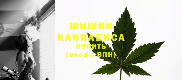 дмт Карпинск