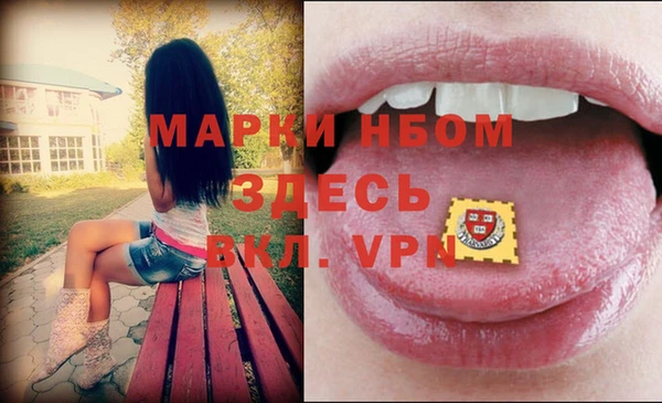 дмт Карпинск