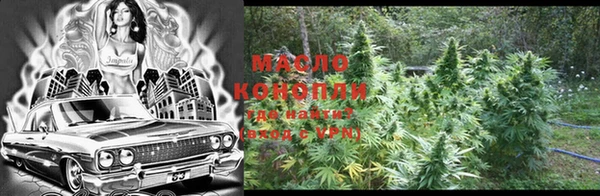 индика Касимов