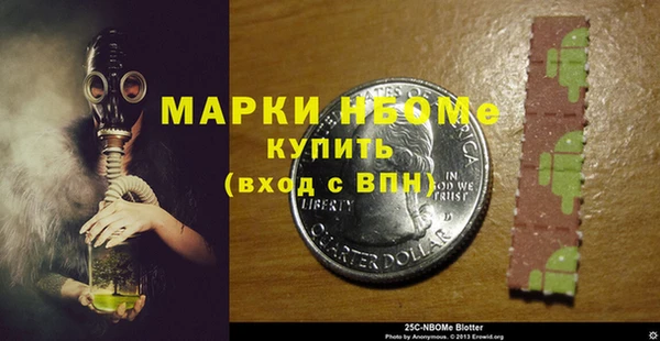 индика Касимов