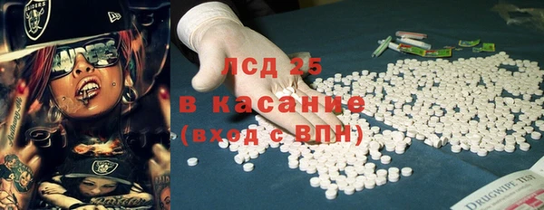 индика Касимов