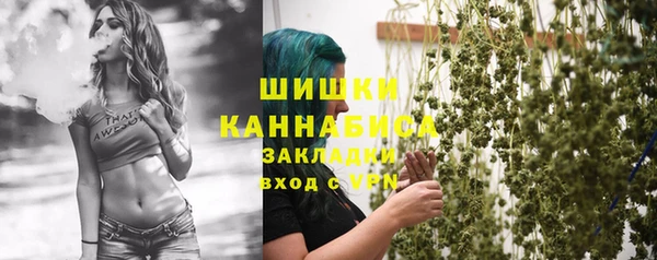 дмт Карпинск