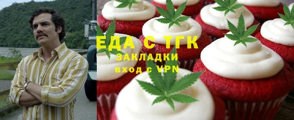 индика Касимов