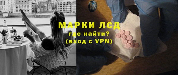 индика Касимов