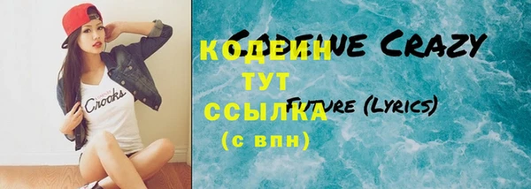индика Касимов