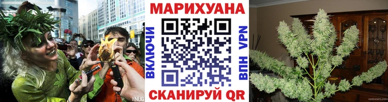 Конопля семена  Купить закладки  Курган 
